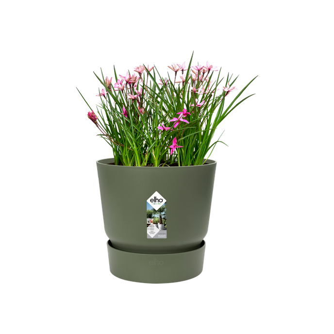 greenville rond 25cm blad groen